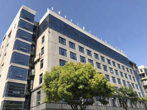 张江集电港